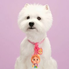 [Pre-Order] POP MART CRYBABY x Care Bears Series Mini Light Blind Box
