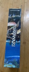 Avatar: The Way of Water Tonowari 7-Inch Scale Action Figure – New Sealed