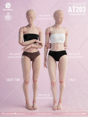 US Worldbox AT201 AT202 AT203 AT206 AT210 1/6 Flexible Joint Body Female Figure