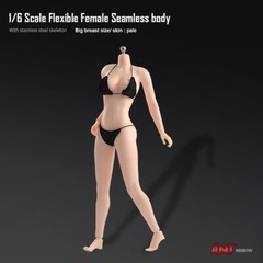 US 1:6 Pale Skin Large Bust Breast 12″ Female Seamless Flexible Figure Body Toys