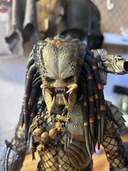 Custom Hot toys ancient(Young blood) Predator