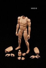 1/6 MX02 B A sian Skin Muscular Man Body Male Action Figure Fit Hot Head Sculpt
