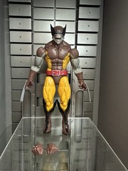 Marvel Legends Brood Wolverine Wolverine 50th Anniversary NO Lilandra Neramani