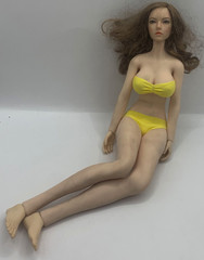 Super Duck 1/6 Female Head Sculpt Brunette Seamless 12″ Doll Body Posable Figure