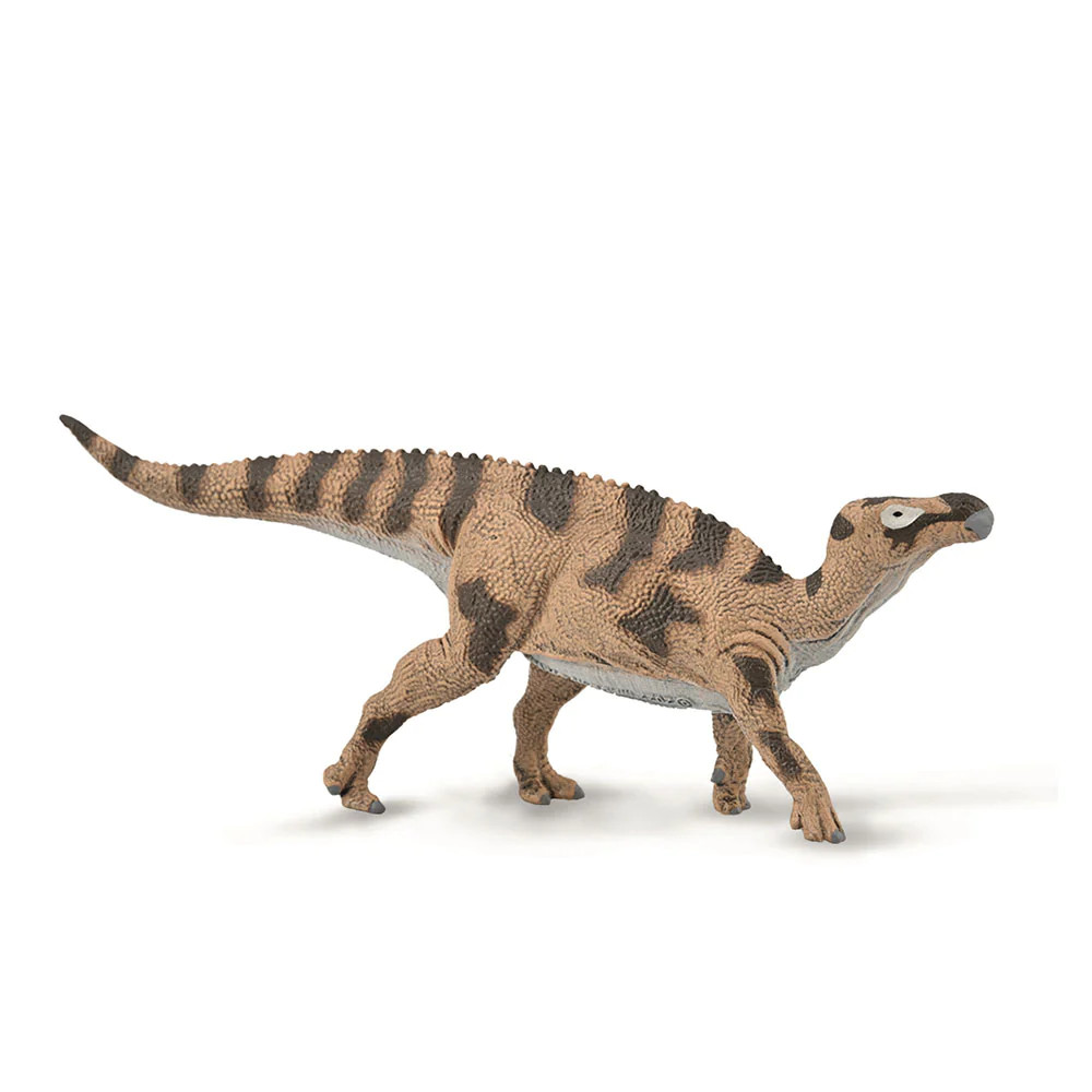 CollectA Realistic Animal Replica Brighstoneus Dinosaur Figure Medium Ages 3+