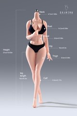 US YM501 1/6 Pale Seamless Body Big Breast Slender Waist Details Female Figure