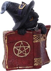 Nemesis Now Kitty’s Grimoire Cat Spell Book Figurine 8.2cm, Resin, Red, Witch’s