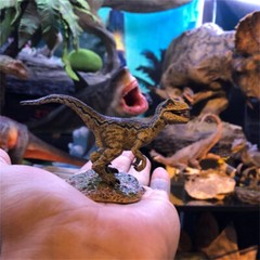 ITOY Juvenile Velociraptor Figure with Base Collections Dinosaur Model Gift Toys