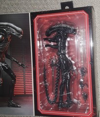 NECA Alien Romulus Ultimate Xenomorph XX121 new sealed usa