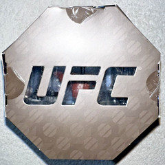 UFC OCTAGON FIGHTERS JON JONES 4″ ACTION FIGURE **NEW RELEASE**