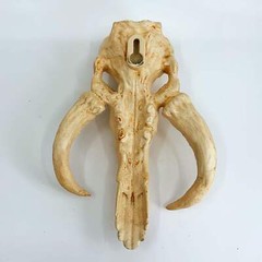 The Mandalorian | Mythosaur Skull | Star Wars | 3 Colors Available