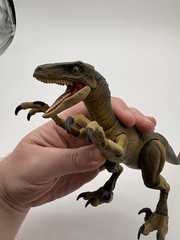 Jurassic World Amber Collection Velociraptor Action Figure