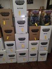 MASTERS OF THE UNIVERSE CLASSICS MATTY COLLECTION NIB SEALED W/ MAILER BOX