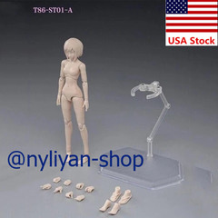 86TOYS T86-ST01-A 1/12 Female Small Breast Pale Skin Joint Flexible Figure Body