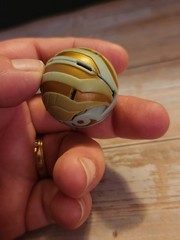 ​Bakugan Lot 5 Sabator 580G Neo Dragonoid Lumagrowl Linehalt Hawktor Vintage 520
