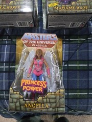 MOTU Adult Collector toys