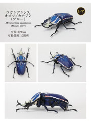 The Diversity of Life on Earth Beetle Vol. 06 Figure Bandai Capsule Toy Gashapon