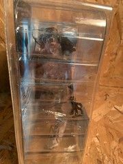 ALIEN VS PREDATOR: ALIEN QUEEN W/ BASE BRAND NEW NO YELLOWING ABSOLUTELY MINT