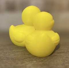 Couples Duck Boyfriend Girlfriend – Jeep Ducking Gift – Cruises – Collectible