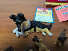 Vintage Puppy In My Pocket Collie Family Dog Bella Mom Puppies Birth Certificate