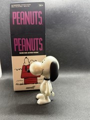 Super7 Peanuts Blind Box Wave 05 Color Snoopy Snow Day 2/12