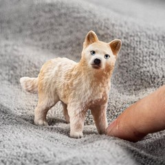 schleich 14881 Arctic Wolf Cub, from 3 years WILD LIFE – Figurine, 5 x 5 x 4 cm