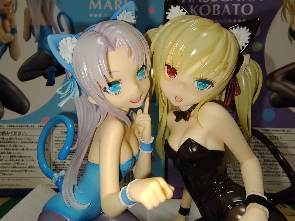 I don’t have many friends Kobato Hasegawa Maria Takayama Himekuri Image Girl