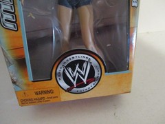 Jakks Pacific WWE Main Event Exclusive Stacy Keibler Figure 2003 MISB