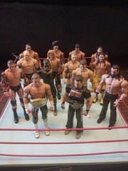 Lot Of 14 WWE Mattel Basic Figures And Jakks Raw/SmackDown Ring