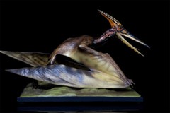 DINO DREAM 1/15 Pteranodon with Base Dinosaur Model GK Animal Figure Toys Gift