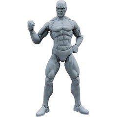 Highly Articulated 1:12 Scale Action Figure Blanks – Customizable with Stand, Sh