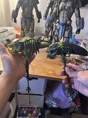 1/6 Scale Custom Trophy Predalien Head