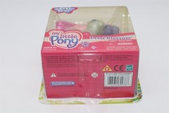My Little Pony Super Long Hair 60078 Petal Blossom 2003 Hasbro-Open Box