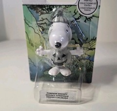 Peanuts Pumpkin Snoopy Charlie Franken Brown Cowgirl Lucy Black White Halloween