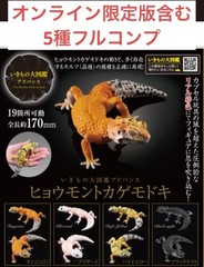 Bandai Illustrated Encyclopedia of Creatures Advanced Leopard Gecko 5 Types