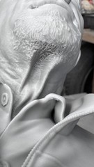 Breaking Bad Mike Ehrmantraut Bust Statue 3D Printed