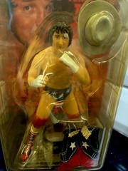 2004 AJPW CharaPro TERRY FUNK Figure WWE WWF WCW ECW Mattel AEW