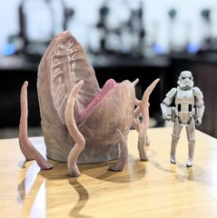Custom Sarlaac with Tentacles for 3.75 IN (1:18) Figure Diorama (Painted)
