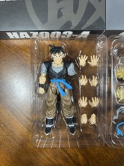 SH Figuarts Future Gohan Hero Outfit HA Toys HAZ003 A & B HM Custom NEW DBZ