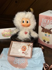 Popmart Dear Birds Series Plush – Confirmed TWINKLE TWINKLE Waiting In Snow