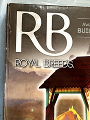 NEW Factory Sealed / ROYAL BREEDS (RB) CHESTNUT TOBIANO HORSE ~ BUILD A STABLE