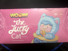 ONE (1) SEALED FULL CASE OF THE LUCKY CAT VINYL FACE PLUSH SERIES