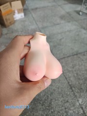 1:6 Big Bust Breast Cover Replacement Model For 12” Female PH TBL Figure Body