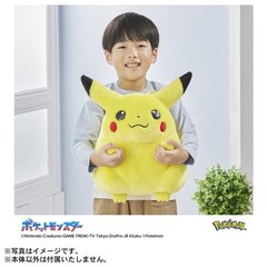 PSL Set of 2 Pokemon 30th Anniversary Welcome Back! Pikachu Plush & Palm-sized
