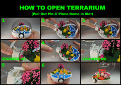 DIY Terrarium
