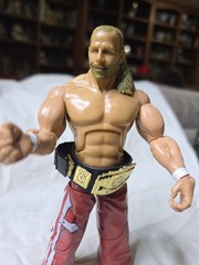WWE Shawn Michaels Jakks Deluxe Aggression 20 Action Figure