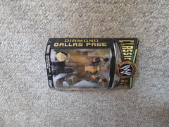 JAKKS Pacific WWE / WWF Classic Superstars DIAMOND DALLAS PAGE