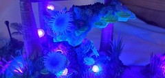 McFarlane Avatar World of Pandora Light-Up Metkayina Reef & Rainforest Lot