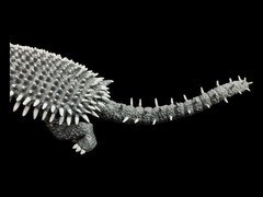 Anguirus 1955 Figure Toho Kaiju Collection DeAgostini Japan 17cm