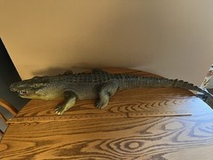 1 Large Realistic Lifelike Foam Alligator 44″ And 1 Soft Rubber Alligator 26″